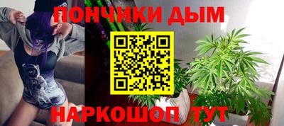 дмт Аргун