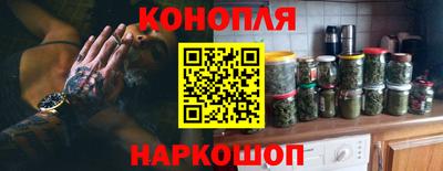 дмт Аргун